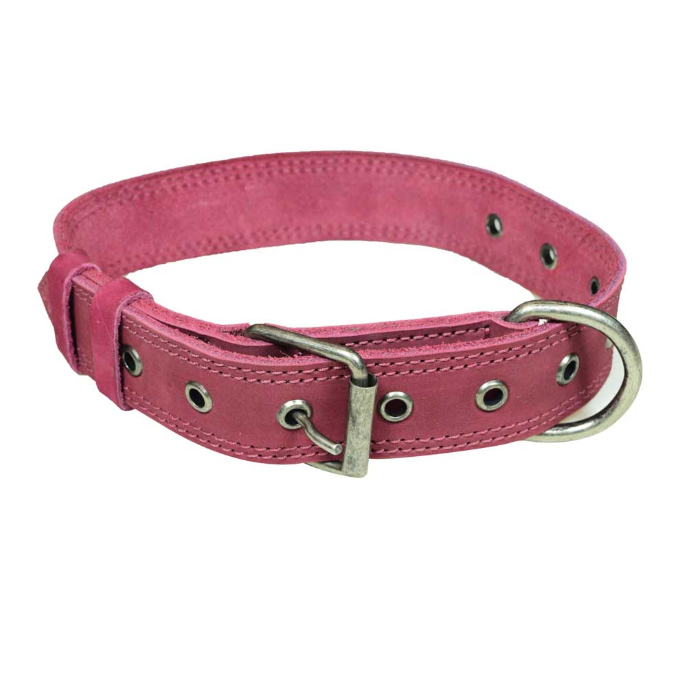 Leather Medium Dog Collar (12 to 21 in.)