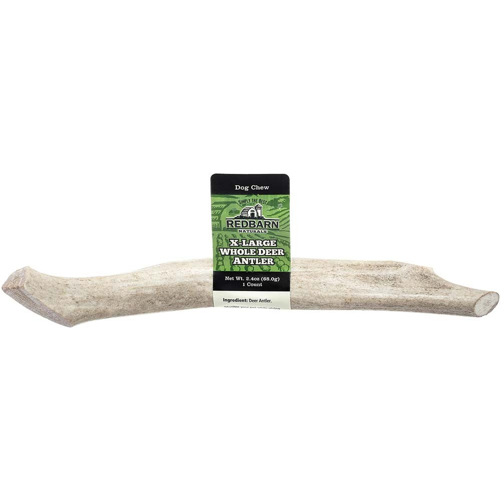 Redbarn Pet Products Natural Deer Antler Dog Treat Whole 1ea/XL, 2,4 oz