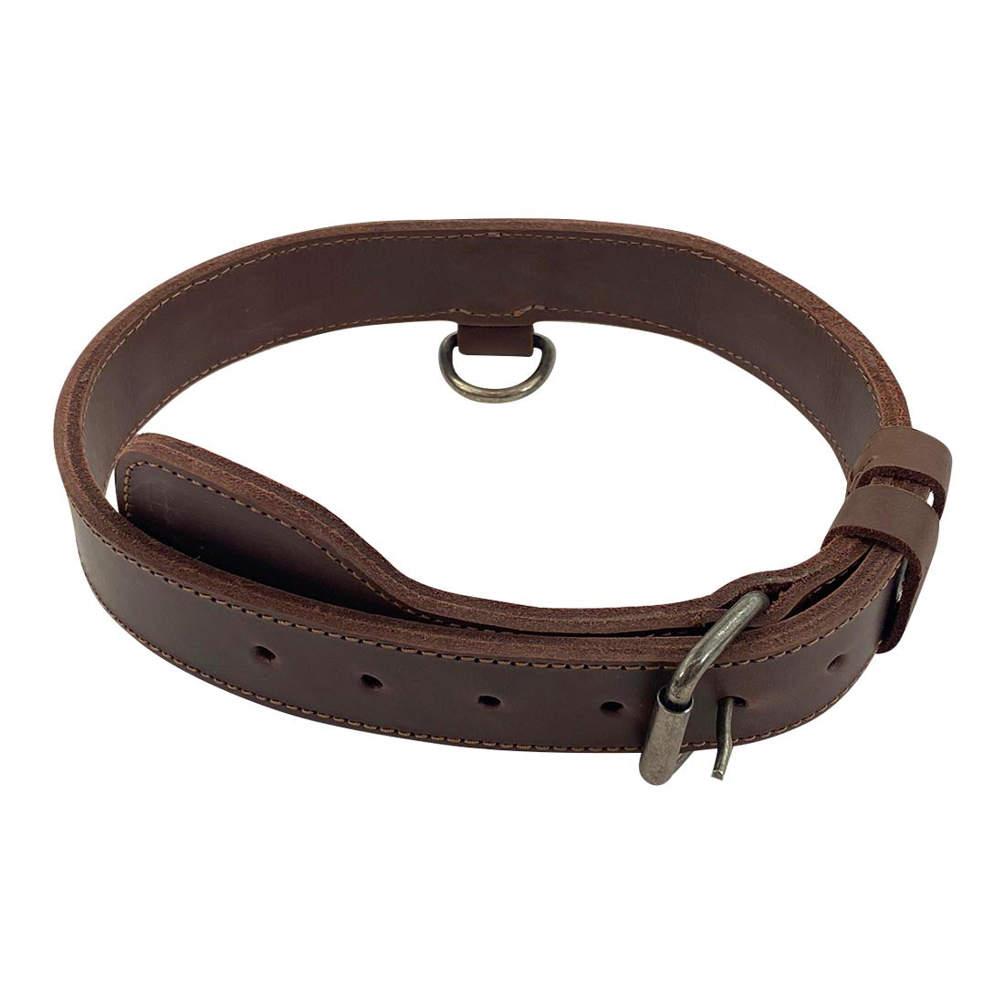 Dog Collar with Handle