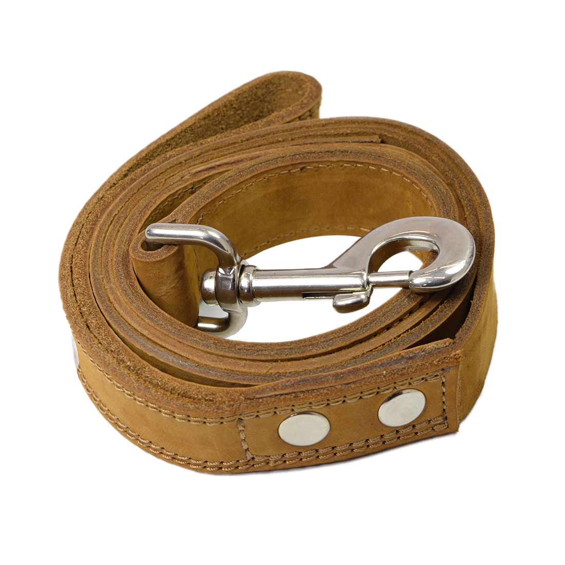 Tough Leather Dog Leash (4 feet)