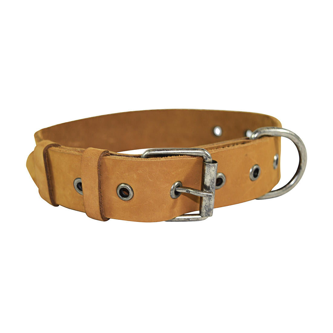 Thick Leather Dog Collar
