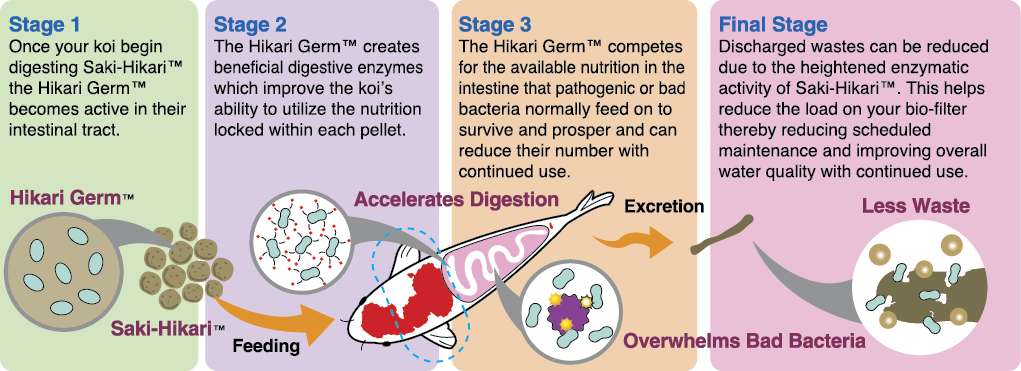 Saki-Hikari® Growth High Nutrition Koi Food
