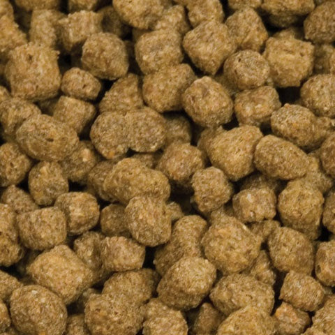 Blackwater Creek Cool Weather Wheat Germ Koi & Goldfish Food