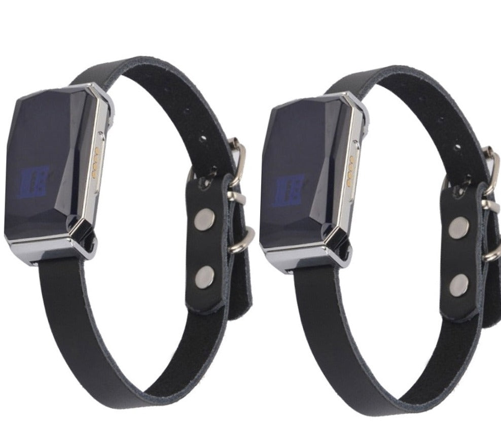 G12 Pet GPS Tracker Mini Waterproof IP67 2G SIM GROOMY