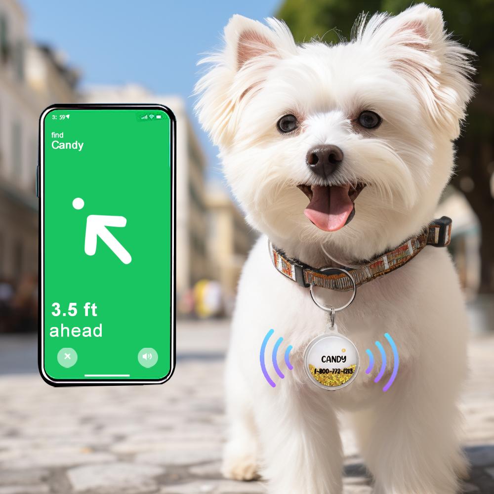 Custom Name Air Tag Holder Quicksand Safe Pet Gift for Pet Owner