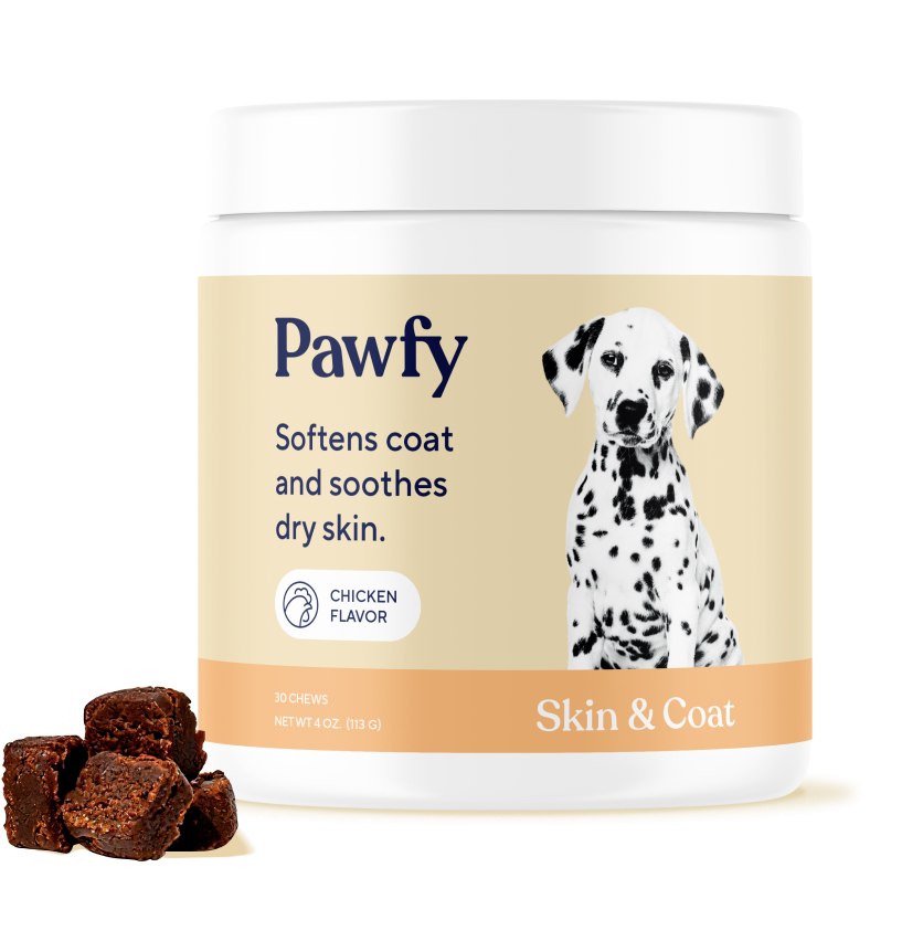 Skin & Coat <i>(Turkey & Bacon)</i>