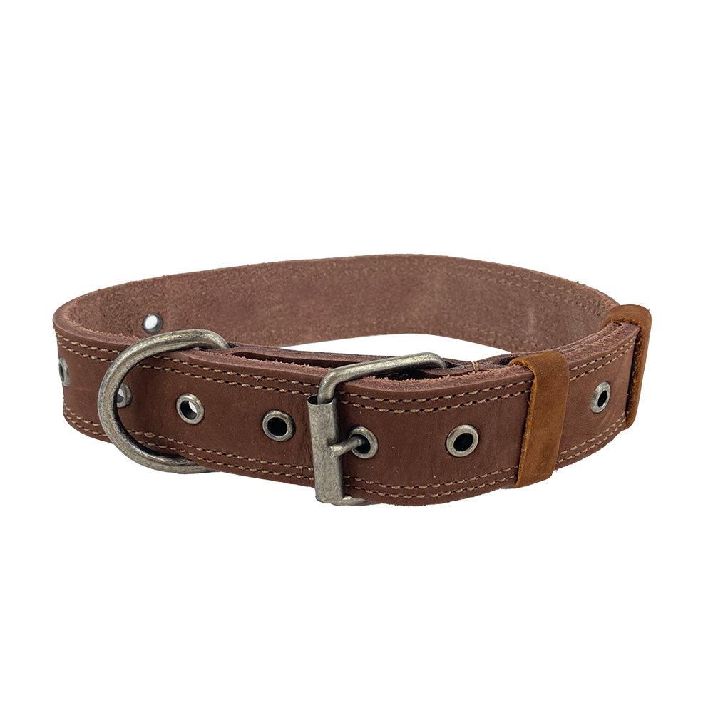 Leather Medium Dog Collar (12 to 21 in.)