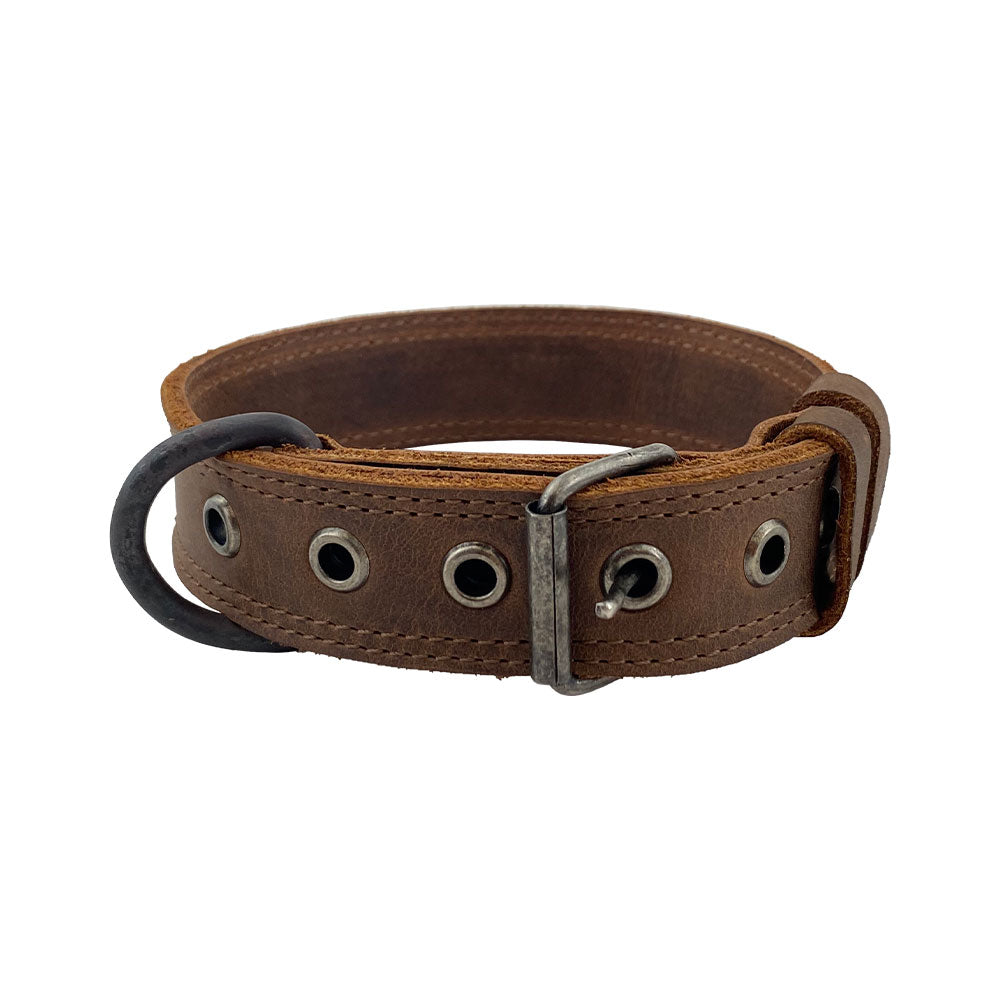 Small Dog Collar