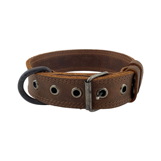 Small Dog Collar