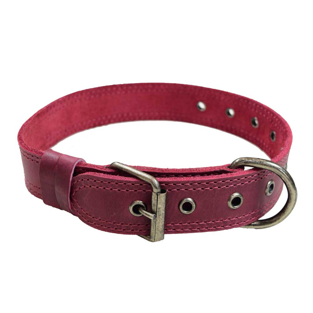 Leather Medium Dog Collar (12 to 21 in.)