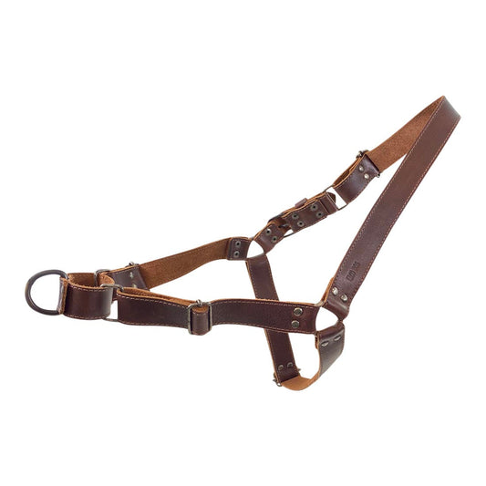 Easy Walk Leather Dog Harness