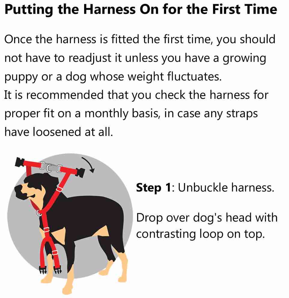 2 Hounds Design Freedom No-Pull Dog Harness & Leash - Black/Silver