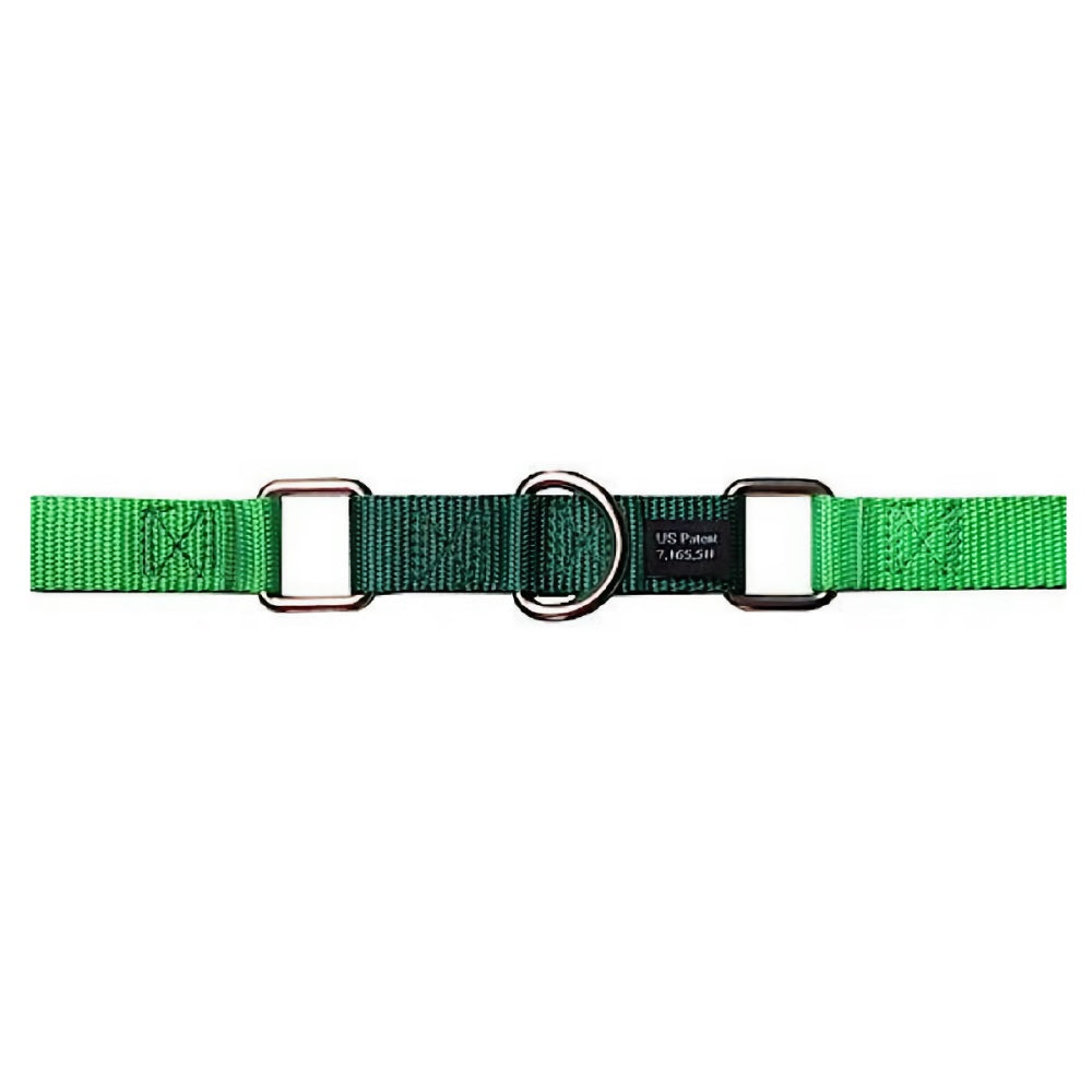 2 Hounds Design Freedom No-Pull Dog Harness & Leash - Neon Green/Kelly Green