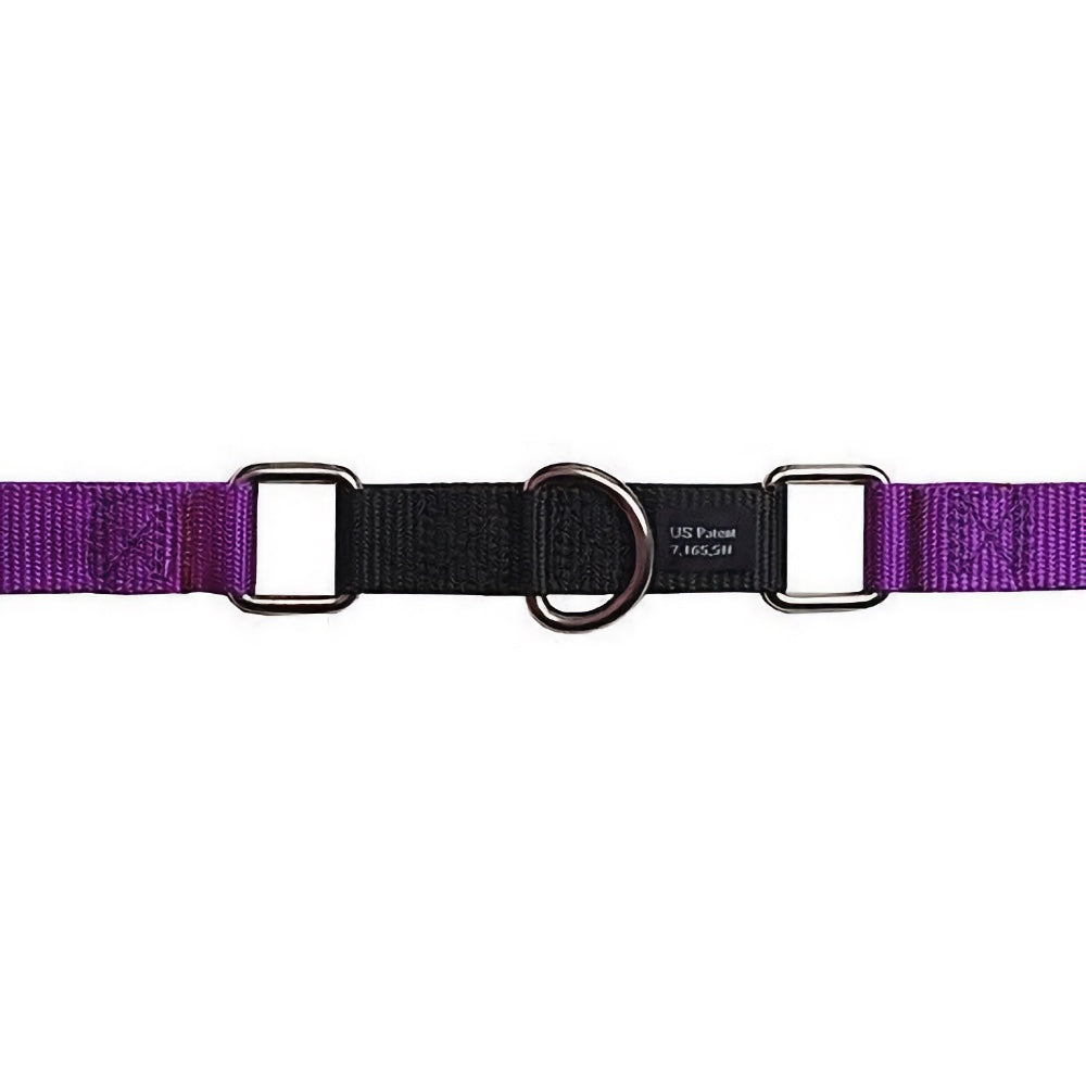 2 Hounds Design Freedom No-Pull Dog Harness & Leash - Purple/Black