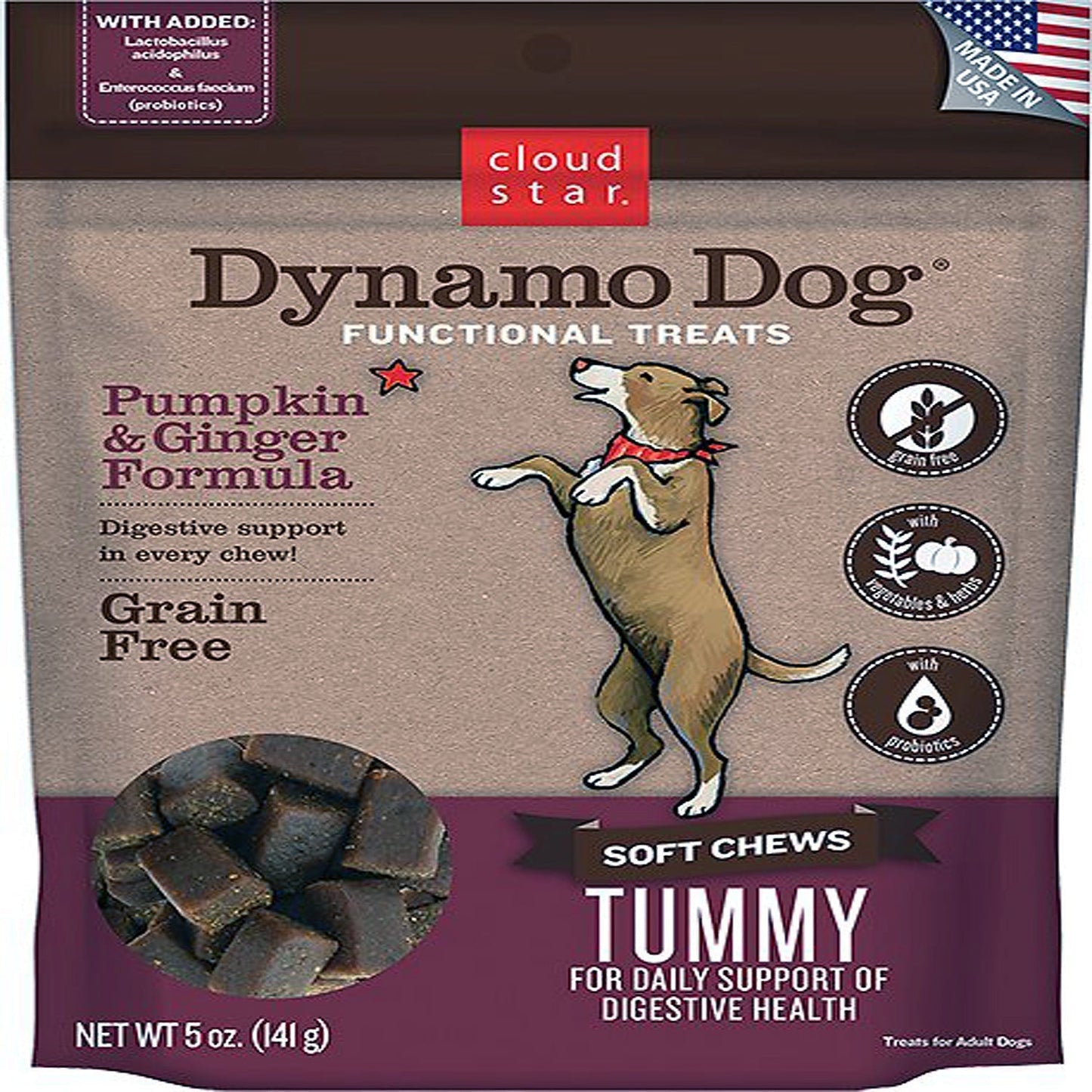 Cloud Star Dynamo Dog Tummy Soft Chews Pumpkin and Ginger Formula Dog Treats, 14oz, Bag