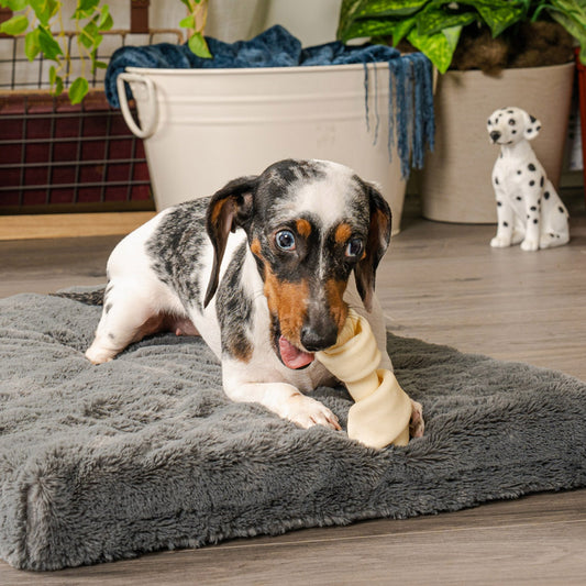 Pet Factory - Made in USA Beefhide Bone 4" Flavored Dog Treats