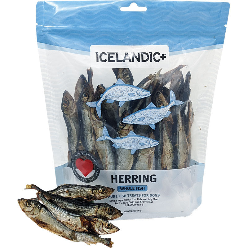 Icelandic  Dog Herring Fish Whole Bulk 9oz,