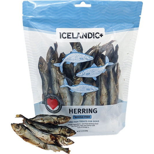 Icelandic  Dog Herring Fish Whole Bulk 9oz,