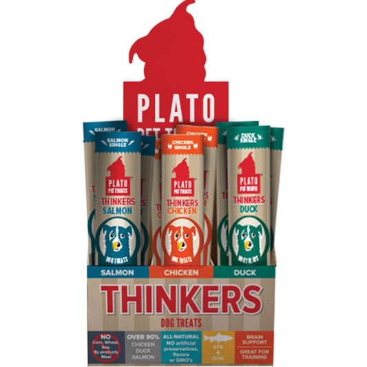 Plato Dog Thinker Sticks Counter Display