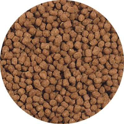 Blue Ridge Fish Hatchery Mini Pellet Growth Formula Koi & Goldfish Food