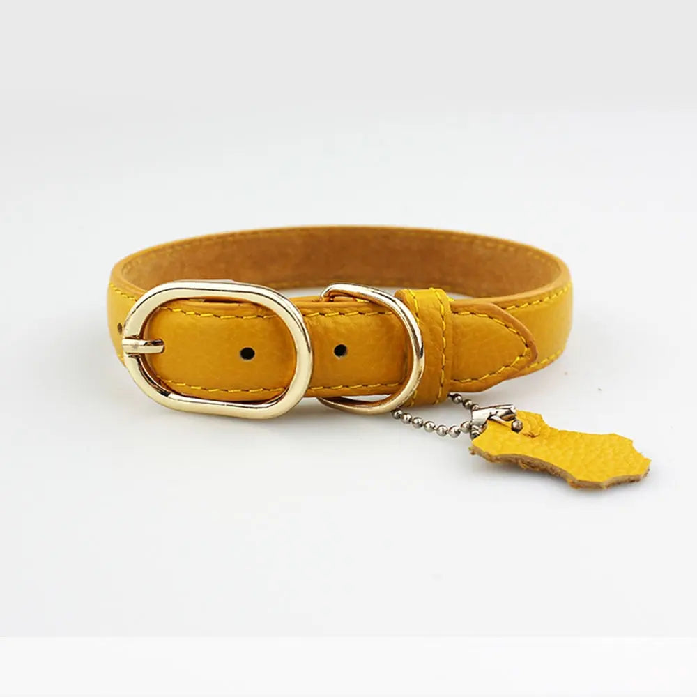 Cat Leather Collar - Premium Genuine Leather GROOMY