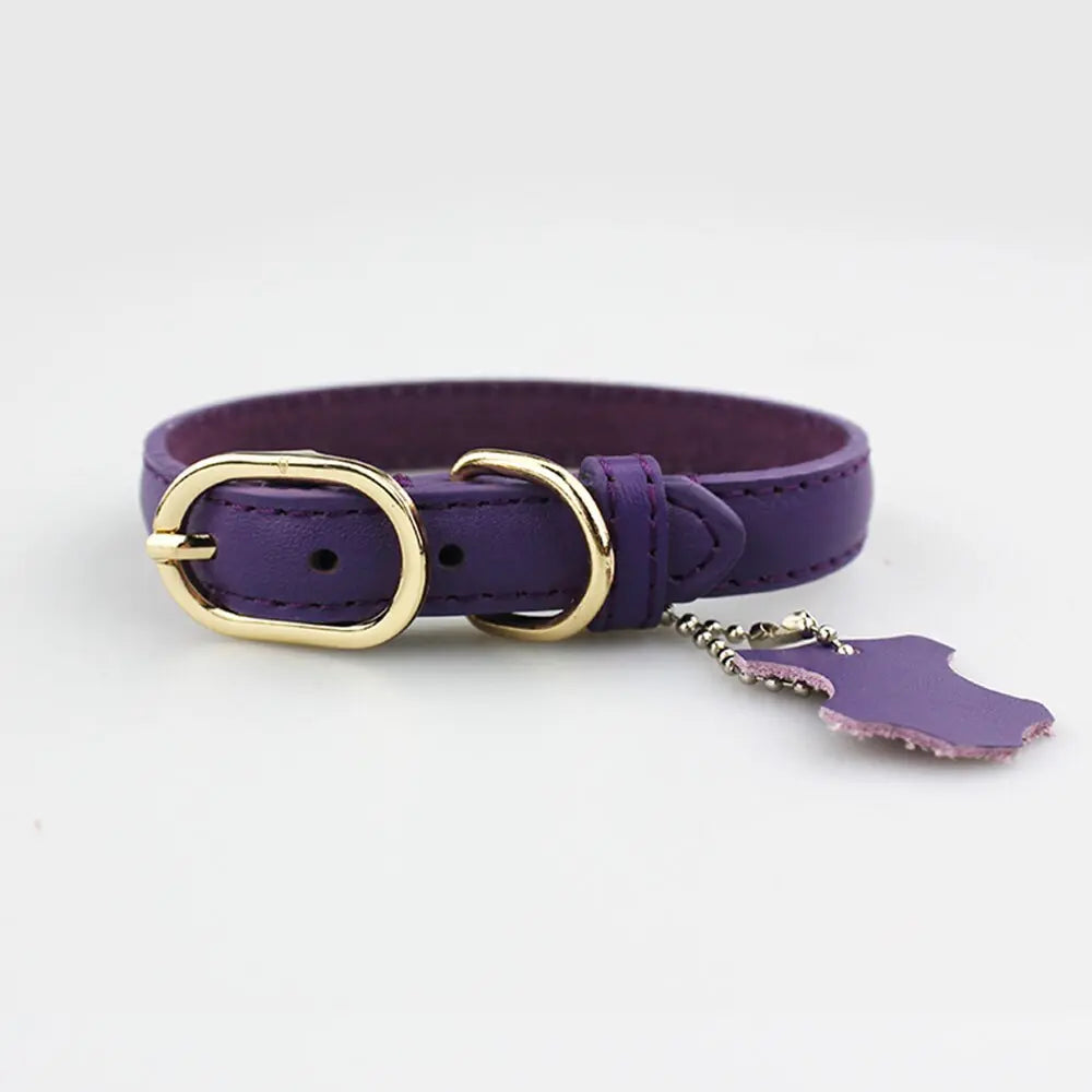 Cat Leather Collar - Premium Genuine Leather GROOMY