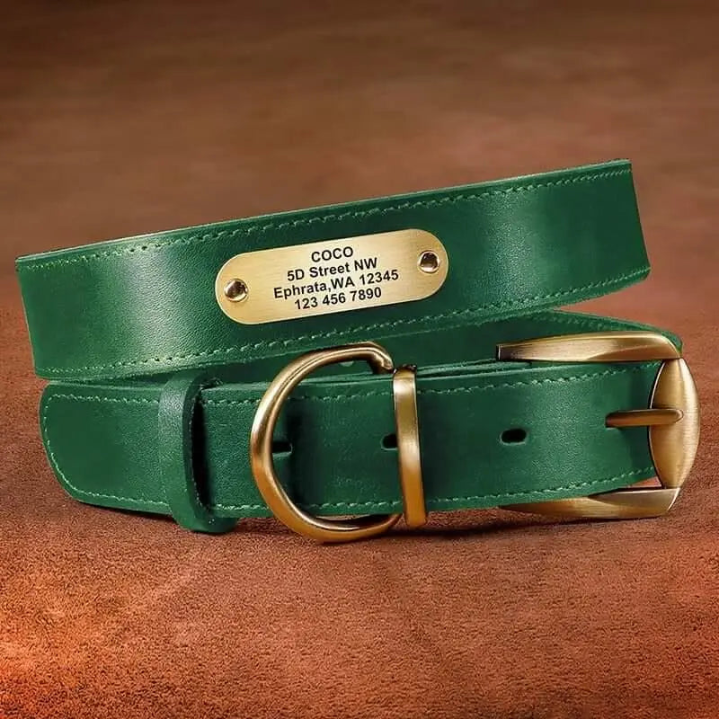 Custom Dog Leather Collar w/ Gold Name Tag - Engrave Your Pet's ID GROOMY