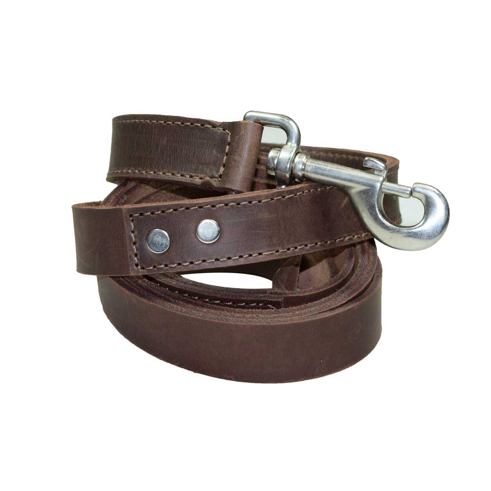 Leather Dog Leash (6 feet)