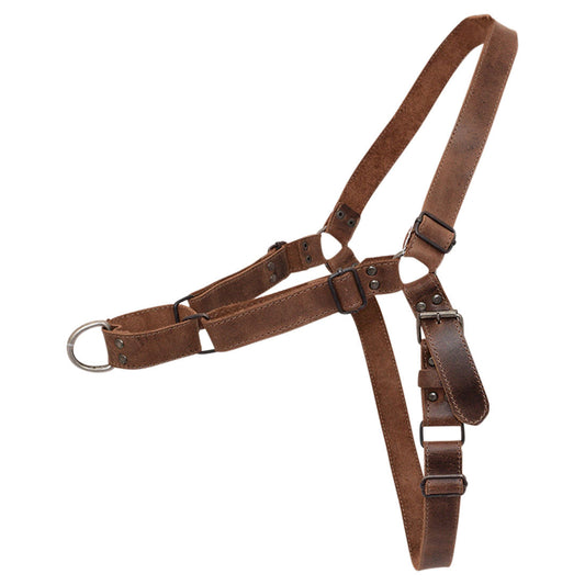 No Pull Dog Harness