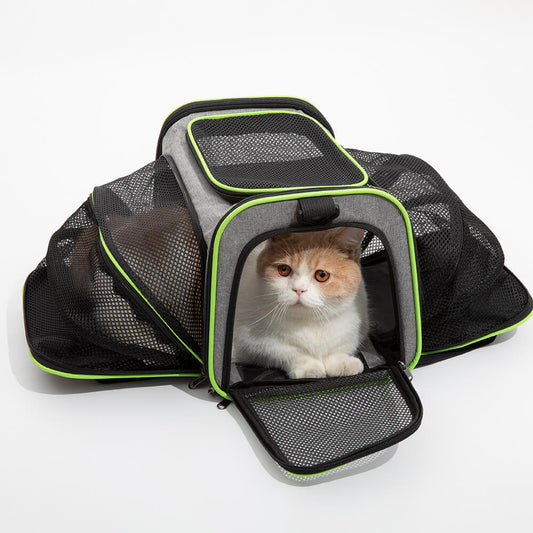 Portable Expandable Foldable Breathable Designer Pet Carrier Bag