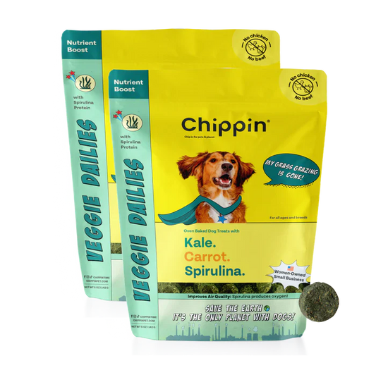 Veggie Dailies: Kale, Carrot, Spirulina- 2 pack