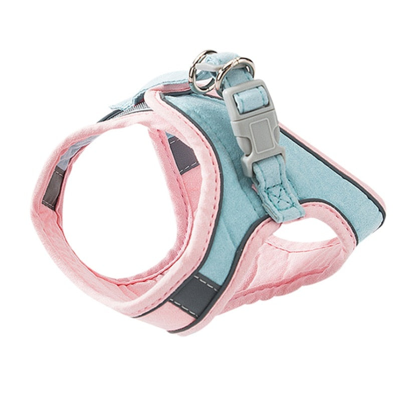 Cat Harness - JCEE Shop