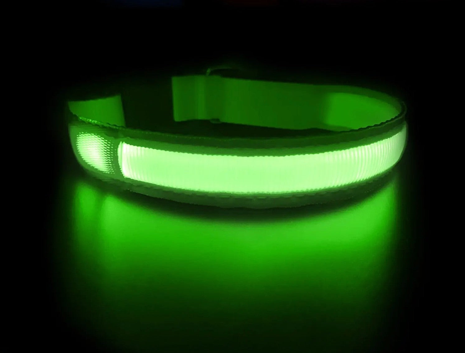 Quick Release Dog Collar - Waterproof & LED Light | GROOMY