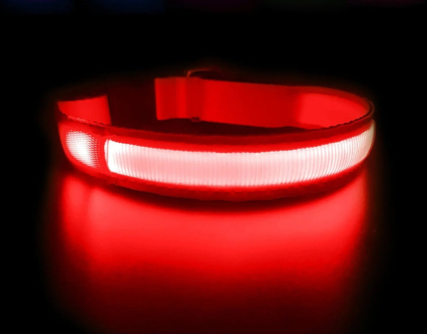 Quick Release Dog Collar - Waterproof & LED Light | GROOMY