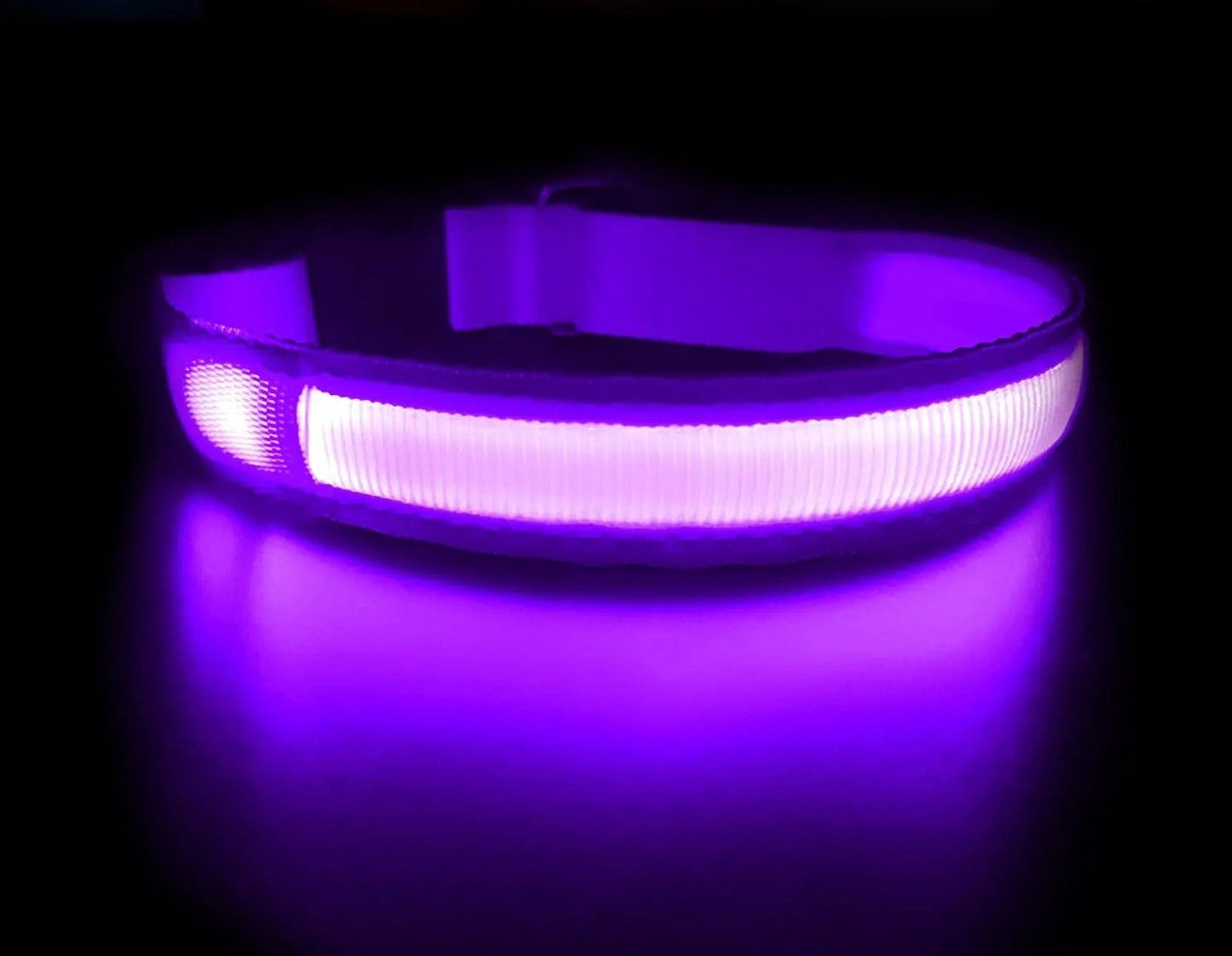 Quick Release Dog Collar - Waterproof & LED Light | GROOMY