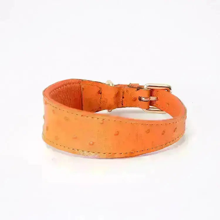 Leather Dog Collar - Style F GROOMY