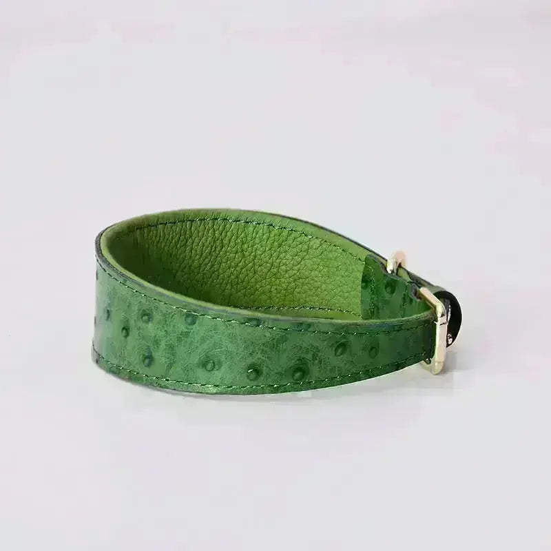 Leather Dog Collar - Style F GROOMY