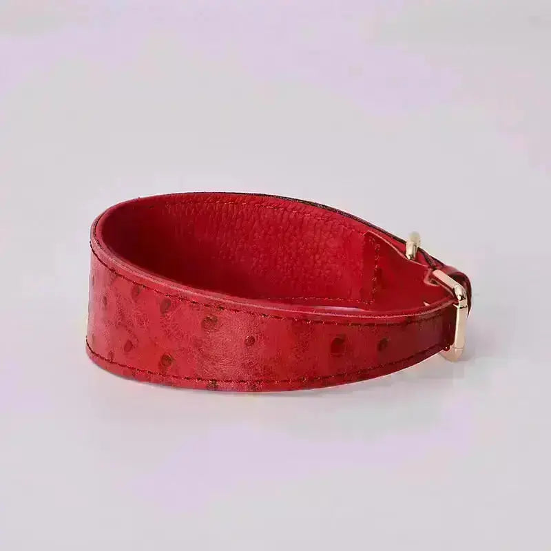 Leather Dog Collar - Style F GROOMY