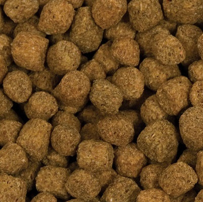 Blackwater Creek Color Enhancing Koi & Goldfish Food