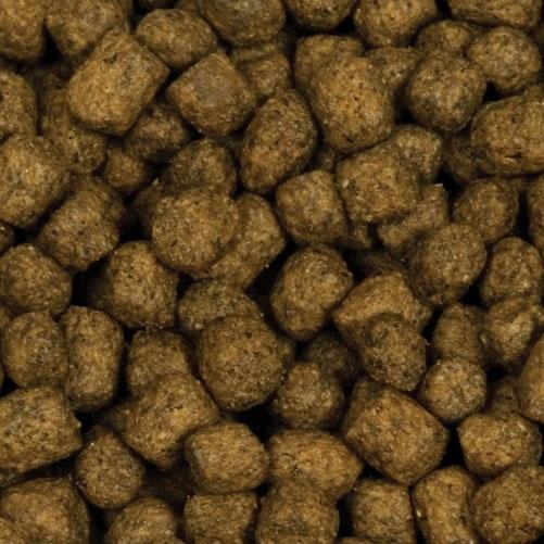 Blackwater Creek Gold-N Professional Diet Koi Food