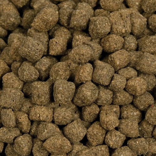 Blackwater Creek Max Growth Koi & Goldfish Food