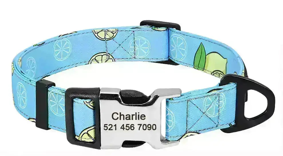 Personalized Dog Collar w/ Patterns - Engrave Your Pet's ID GROOMY