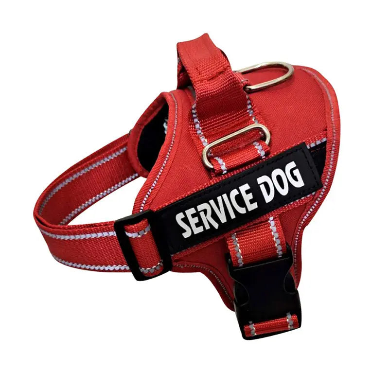 Personalized Dog Harness - Engrave Your Pet's Name GROOMY