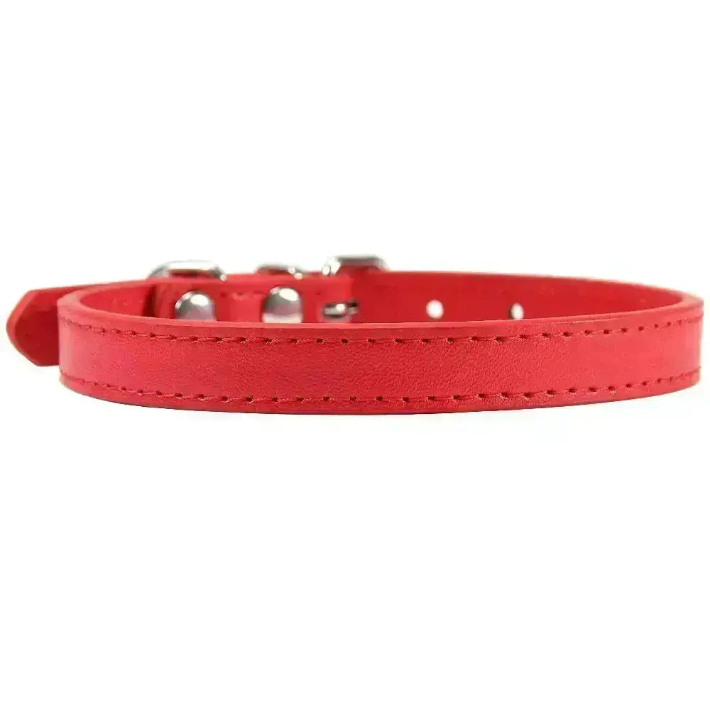 Personalized Leather Cat Collar GROOMY