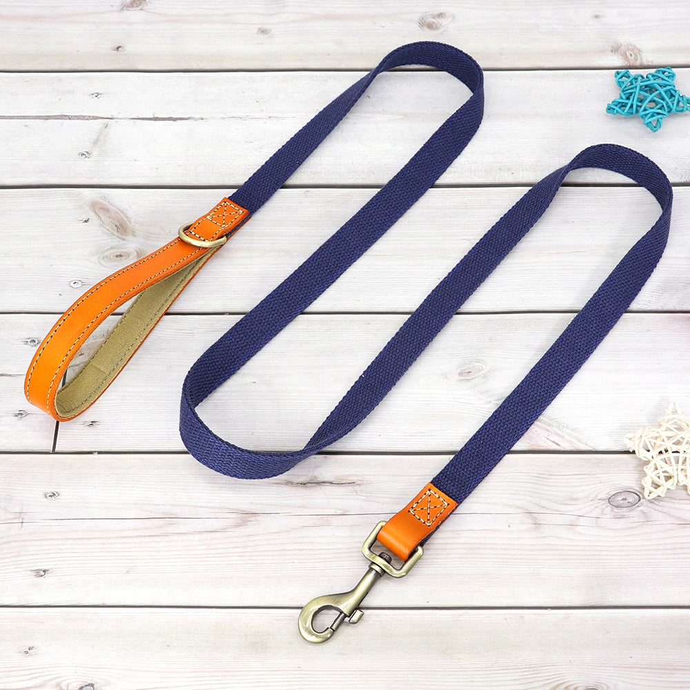 Custom Dog Collar Leash Set GROOMY