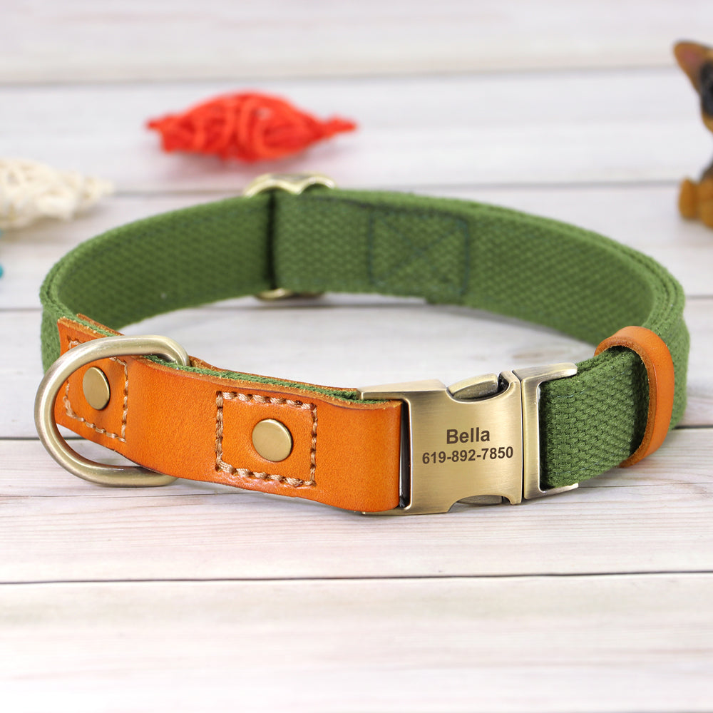 Custom Dog Collar Leash Set GROOMY