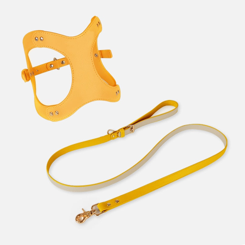 Kitten Puppy Harness Leash Set Adjustable Soft Leather Breathable Dogs Vest Harness Leads Pet Clothes for Small Dogs Chihuahua GROOMY