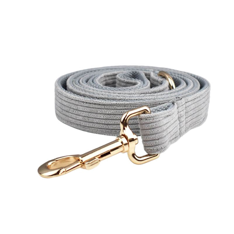 Light Grey Corduroy Dog Collar And Leash With Custom Engraved Nameplate GROOMY