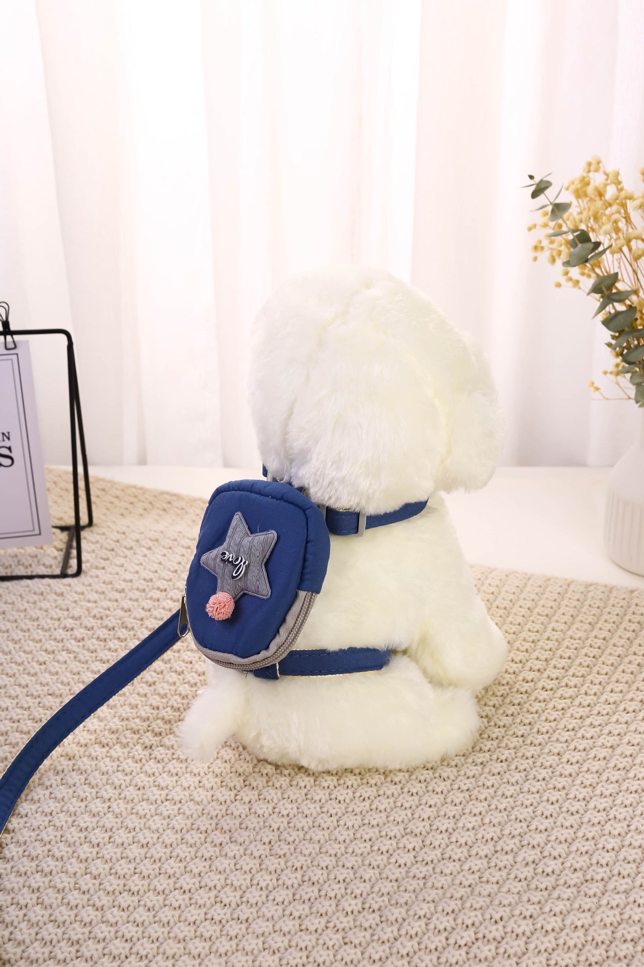 Dog and Cat Cartoon Star Seat Belt Backpack GROOMY