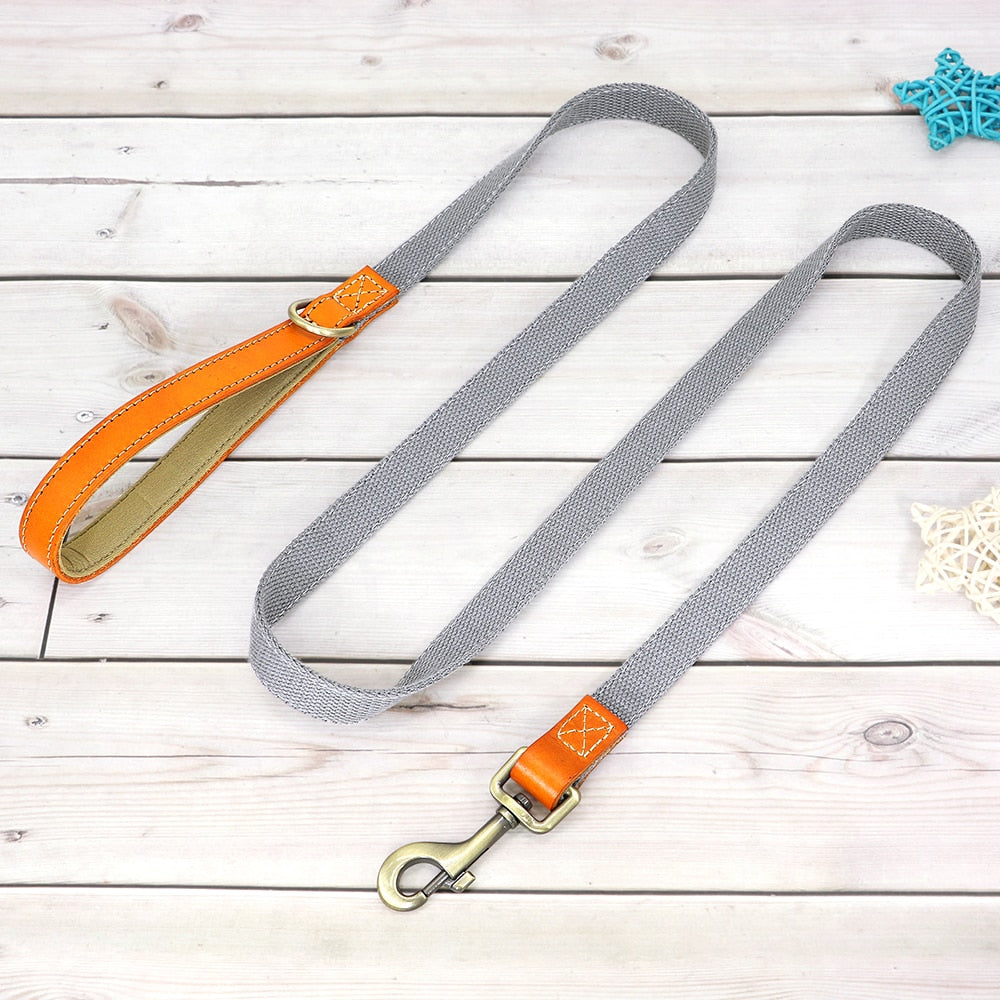 Custom Dog Collar Leash Set GROOMY